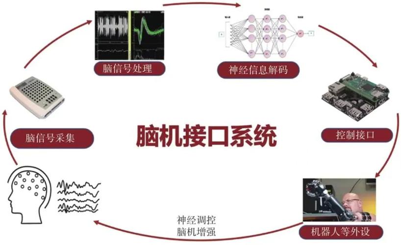 科研成果有多野？蟑螂特工、意念飙车，还有吃塑料的虫子