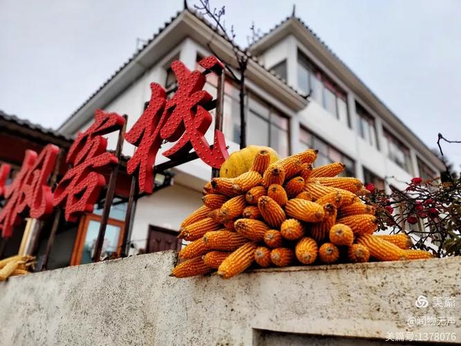 吃了官米，顺路逛遍东巩好风景