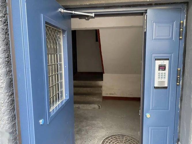 发情橘猫蹲单元门门口等待实拍