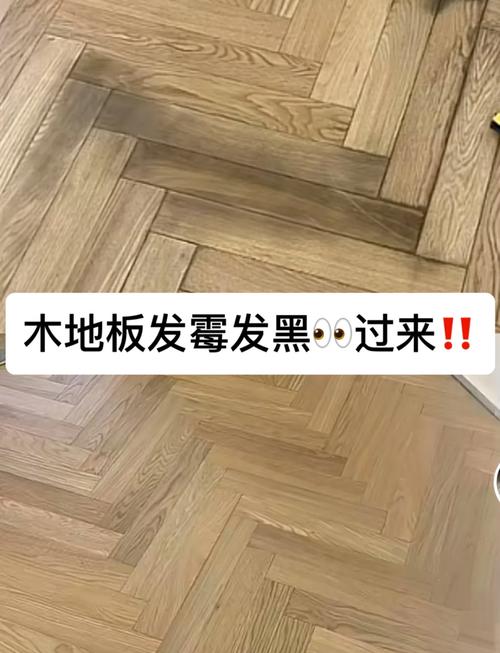 家用杉木龙骨地台受潮发霉实拍