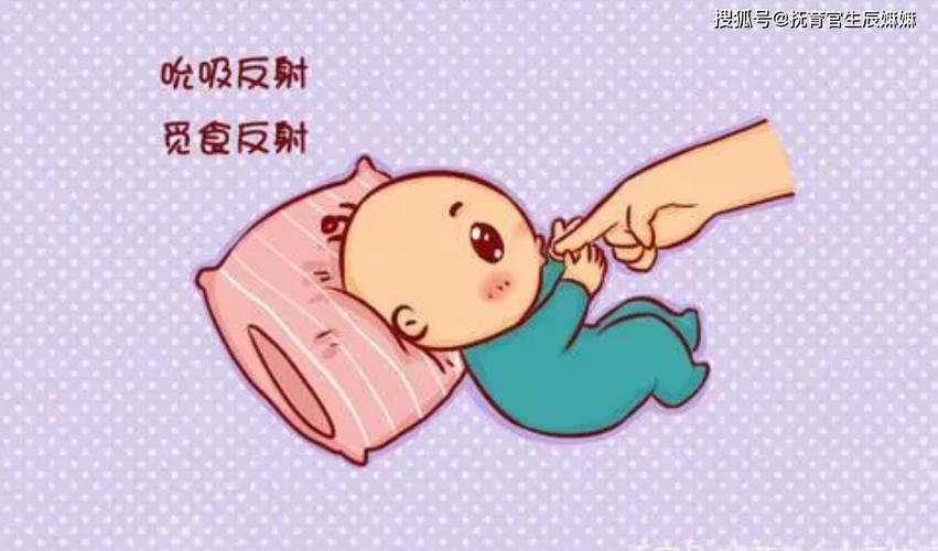 新生儿觅食反射与吸吮反射示意图