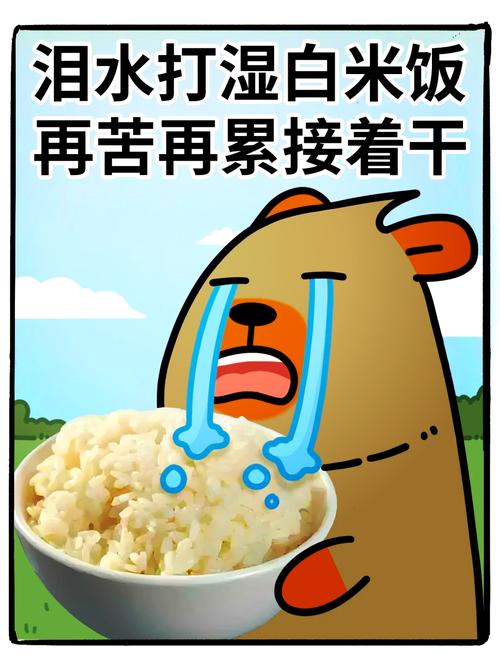 带饭搭配踩过的坑,给你们提个醒