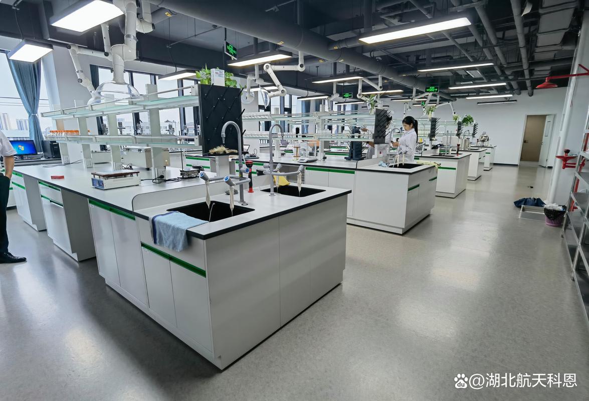 硅谷生物科技初创公司实验室内部全景