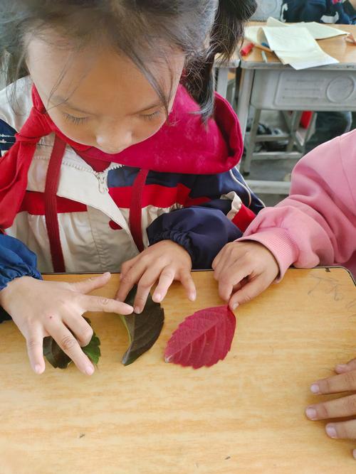 小学三年级古诗课堂学生触摸枫叶标本互动实拍