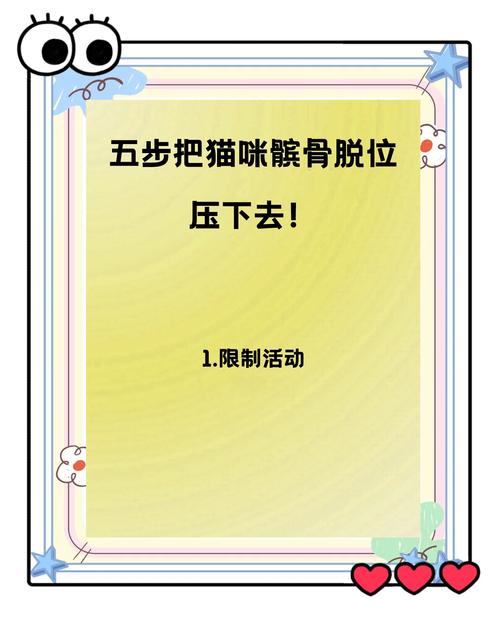 猫髌骨脱位后腿解剖位置示意图