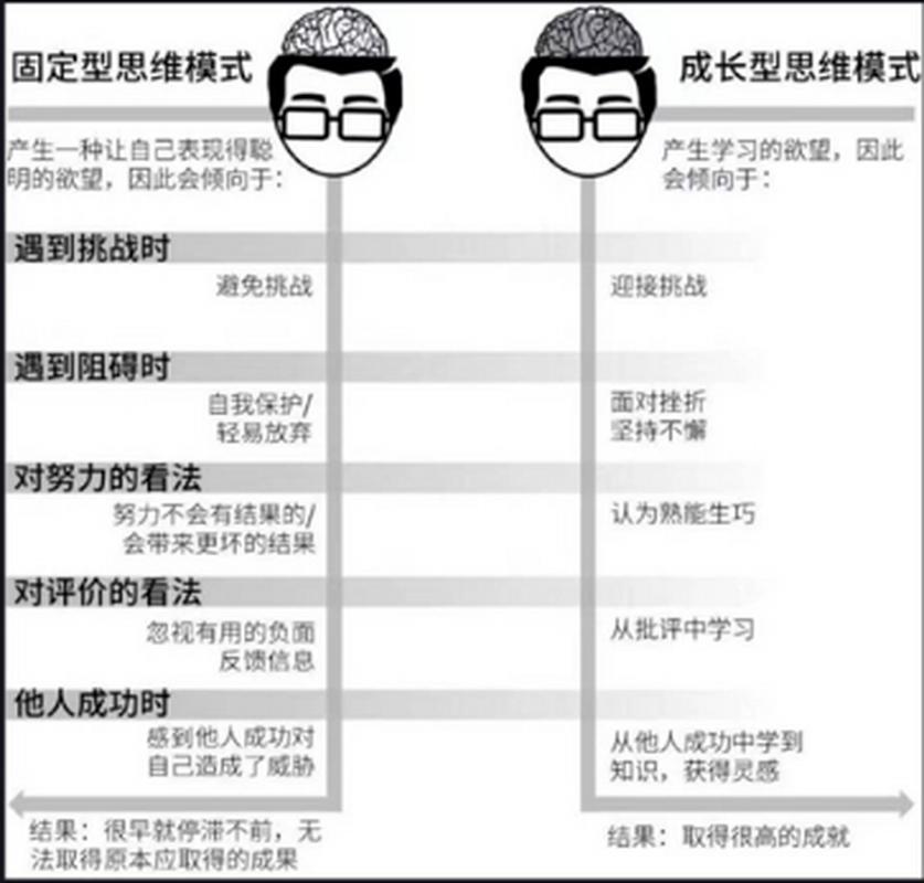 卡罗尔德韦克成长型思维核心观点对比表