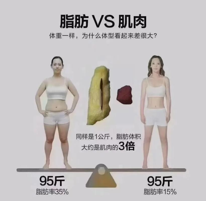 同样重量的肌肉与脂肪体积对比示意图