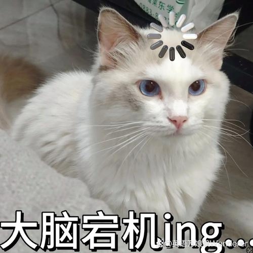 签字那一秒,大脑直接宕机