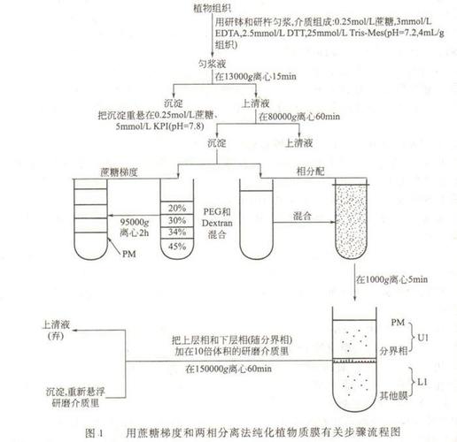 怎么降离心分离的运行成本