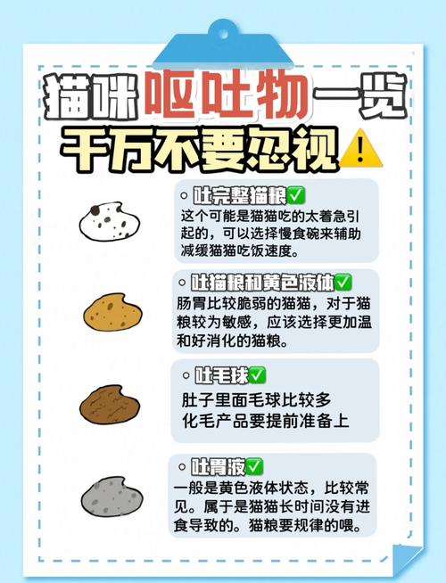 铲屎官自救指南