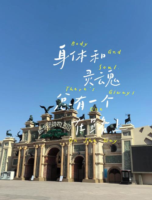 值得停下来慢慢玩的体验