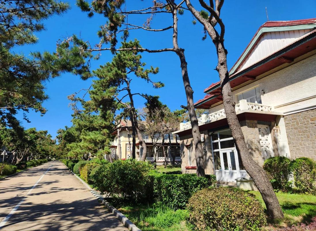 中国河北北戴河松林老别墅红瓦顶