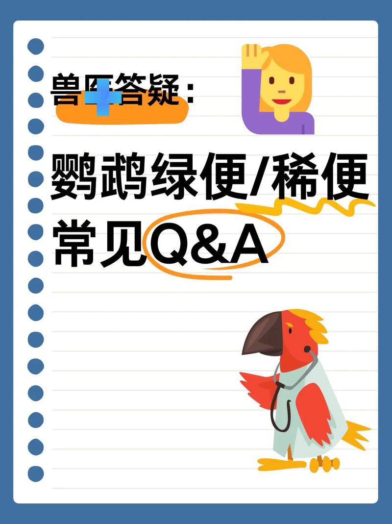 Q&A:你最关心的那些实际问题