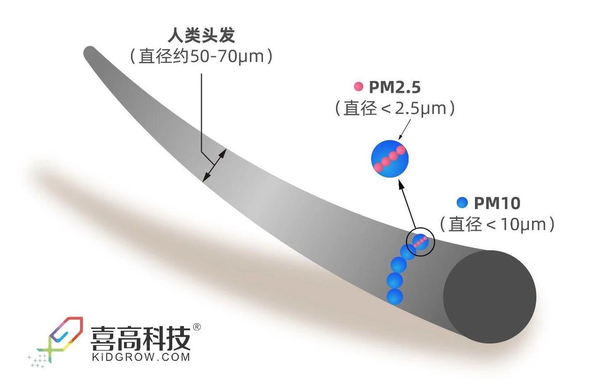 纳米颗粒与头发丝直径对比示意图
