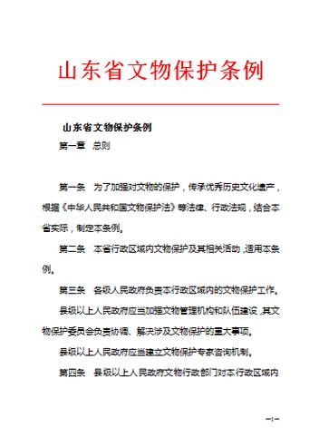 地方文物保护条例行政处罚现场文书实拍