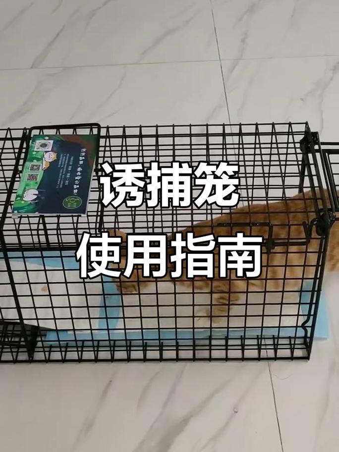 什么时候该用笼养？边界在哪里