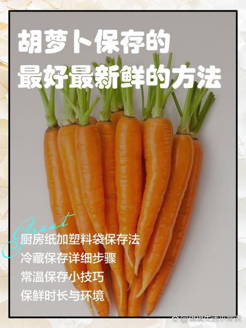 土豆洋葱胡萝卜分类储存阴凉通风处