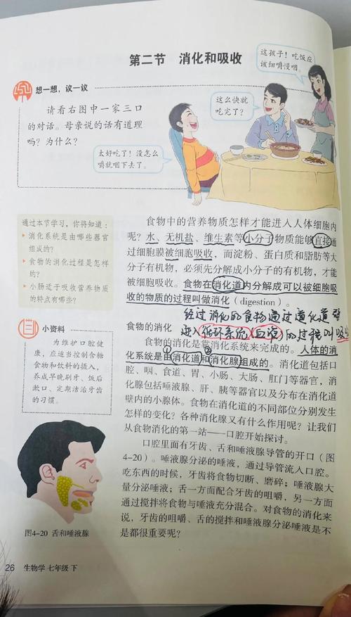 慢消化淀粉？先扒开它的‘慢’外套