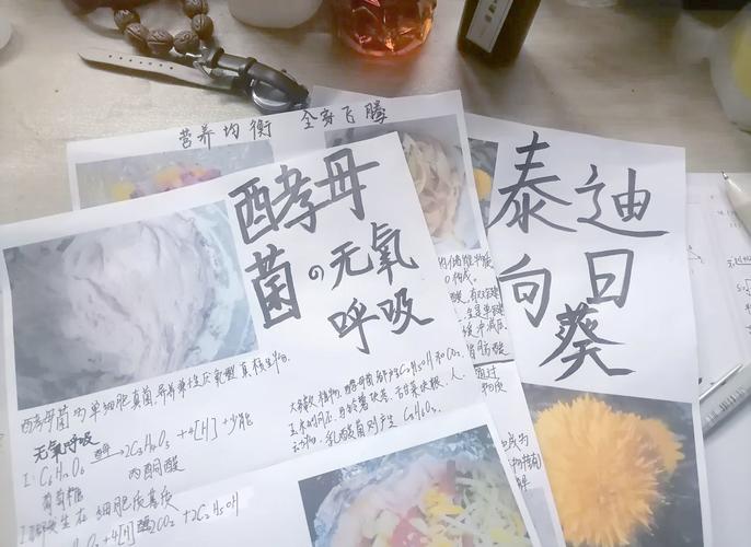 发酵食物到底哪里好？——肠道小世界
