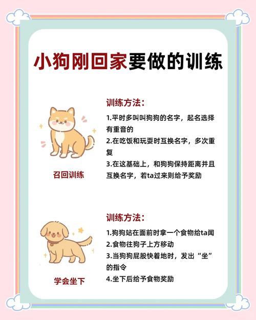 三步走,让狗学会跟着你溜达