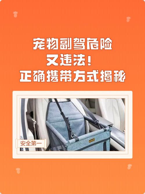 宠物坐车时抱在副驾的危险示意图