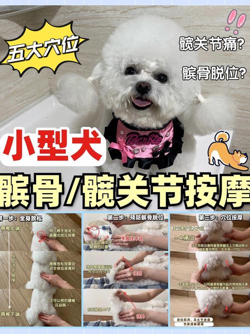 宠物骨折错误揉捏操作示范
