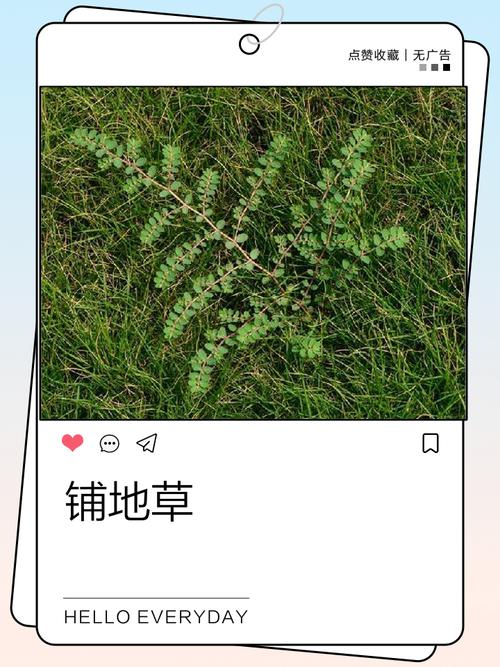 种草铺完，别犯这个低级错误
