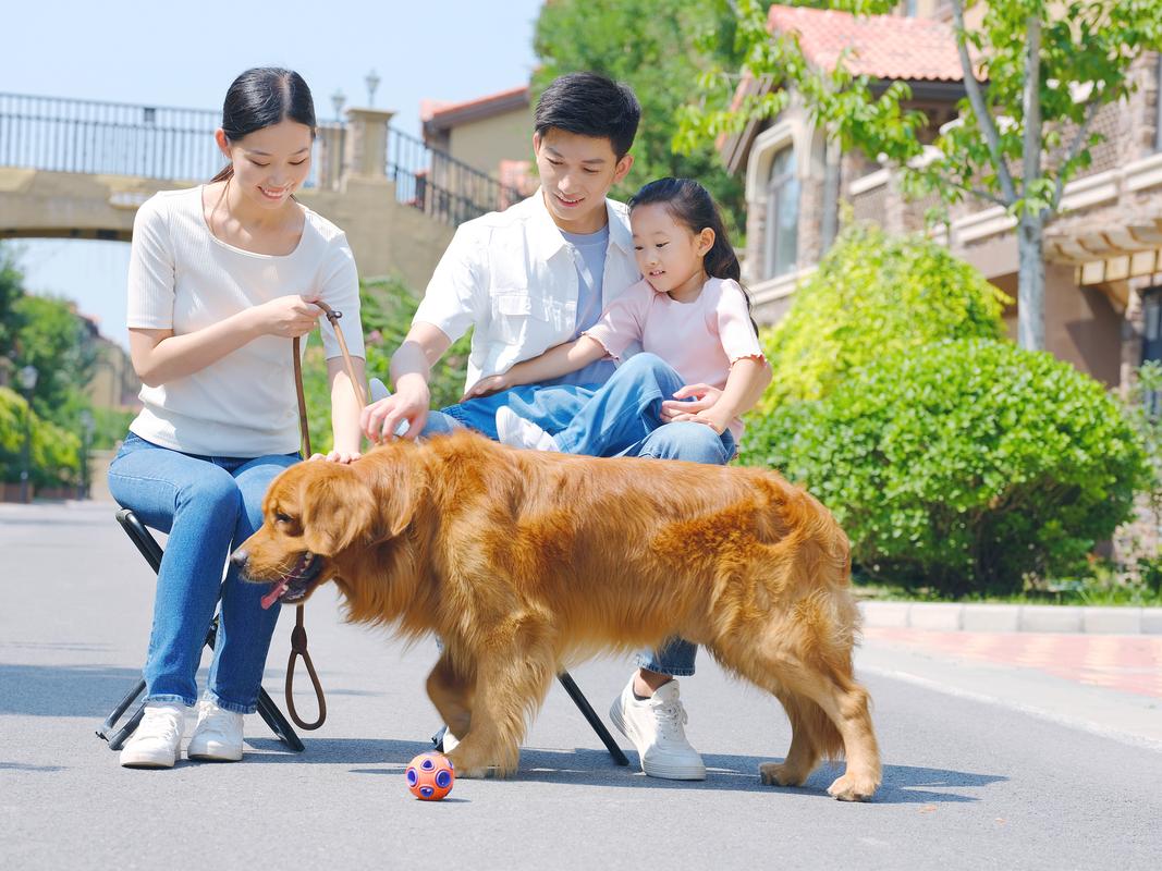 3月龄幼犬接触不同材质地面场景图