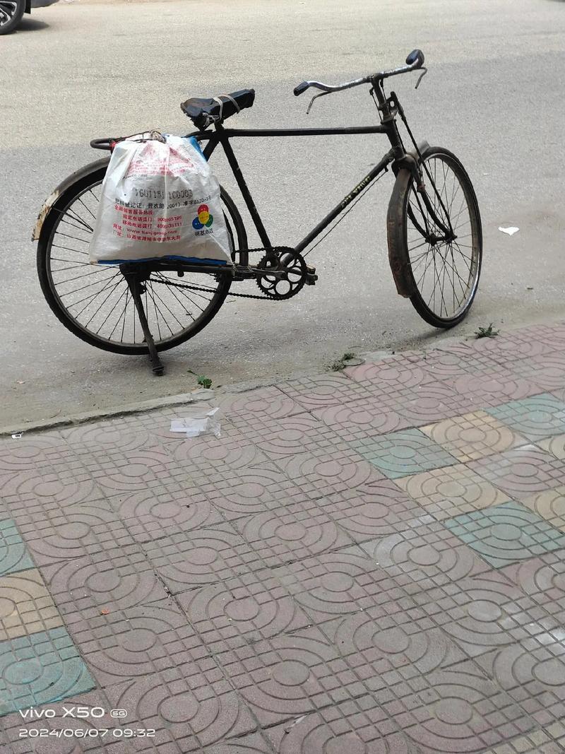 二八大杠自行车架着糖葫芦草把子的德州街头