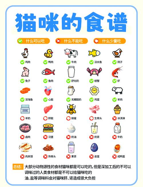 铲屎官只要做好这几件事就够了