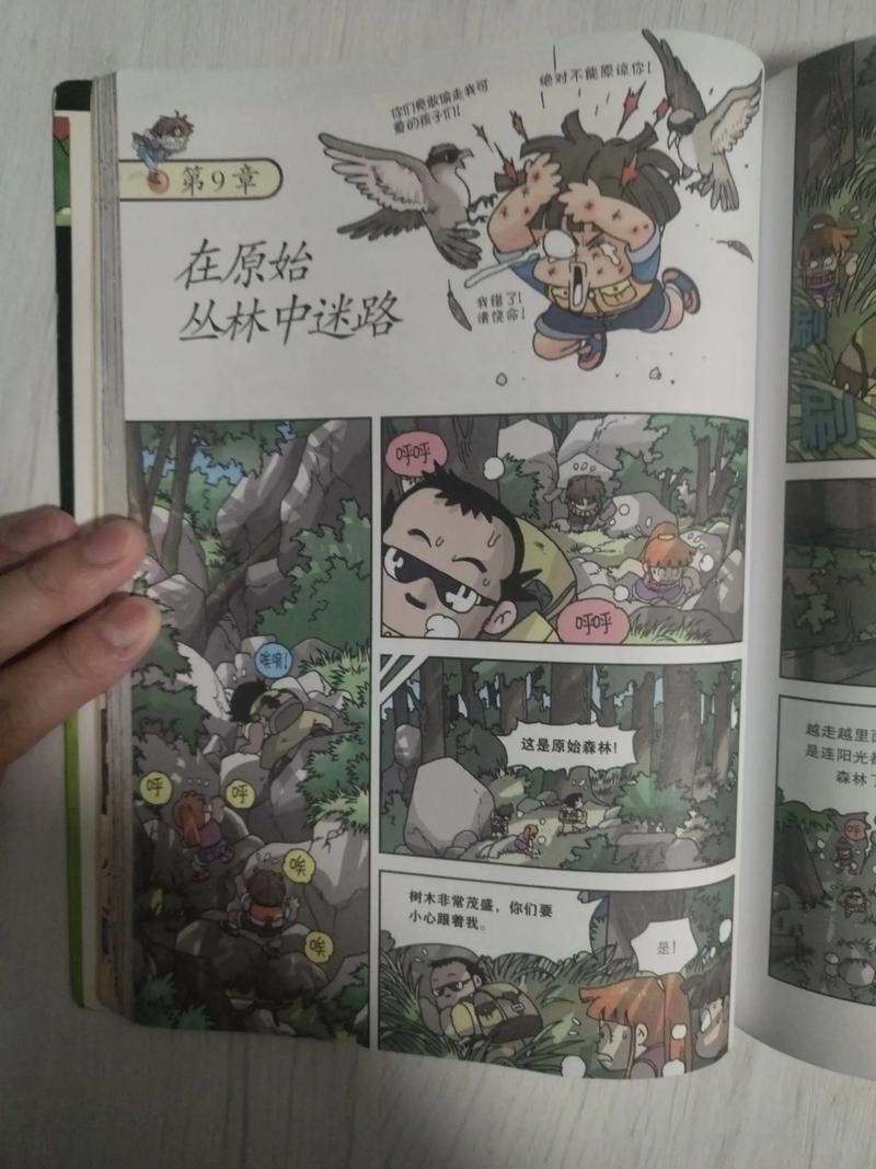 原始森林：迷路才是正经事