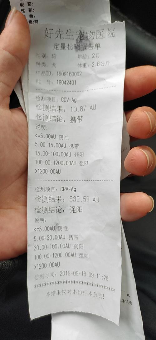 宠物医院幼犬细小疫苗抗体检测报告单