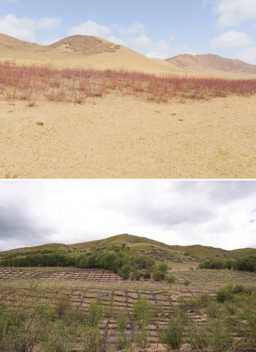 锡林郭勒荒漠草原沙化与草斑对比