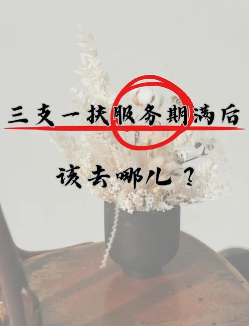 期满之后去哪儿?