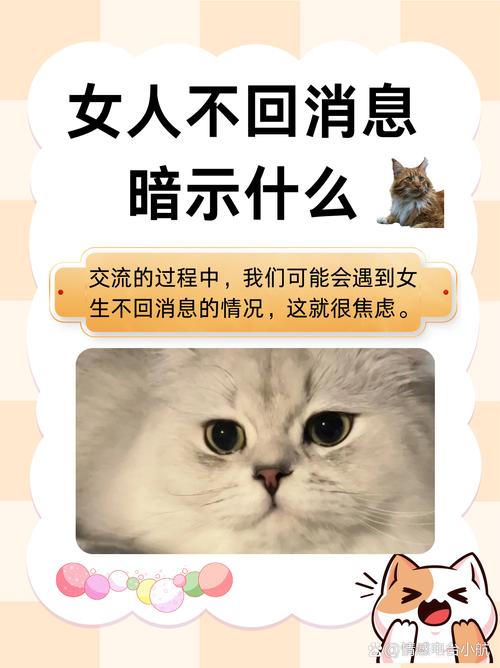 回不回，什么时候回，都是你的节奏