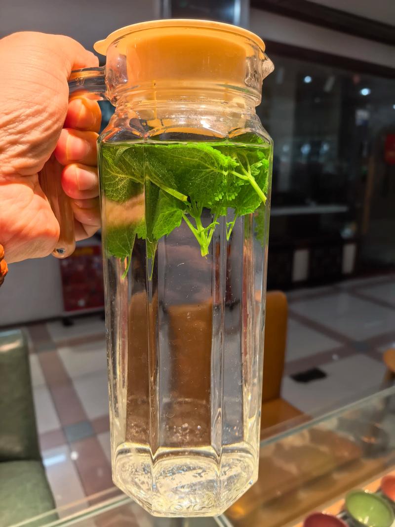 透明玻璃罐中变质褪色的薄荷干叶对比图