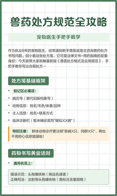 兽医诊室给宠主讲解处方粮适配性的场景