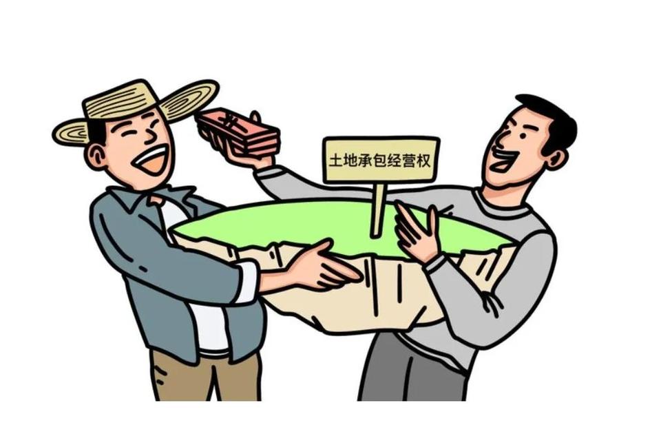土地承包的法律精准画像