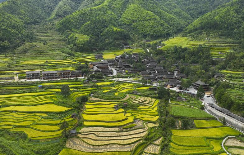 南漳东巩古山寨石墙下的梯田稻浪