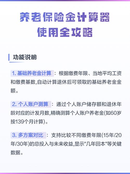保险计算器基础输入项填写界面示意图