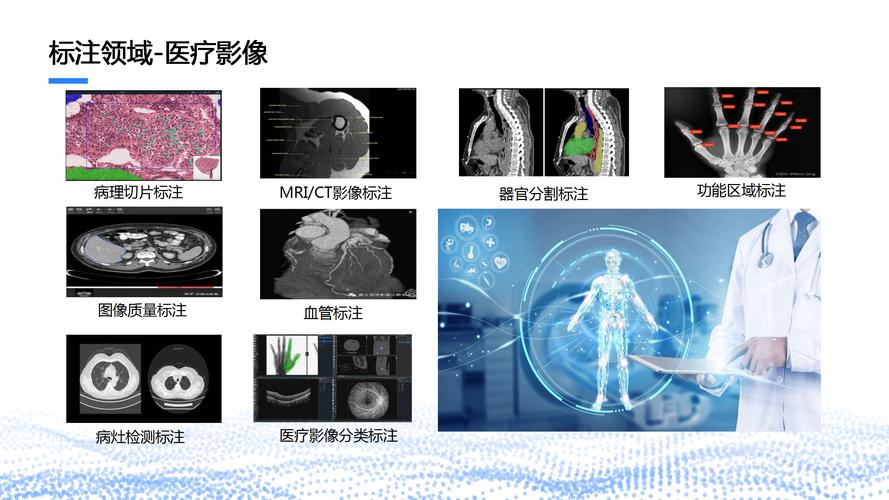 医疗影像机器学习病灶识别标注示例图