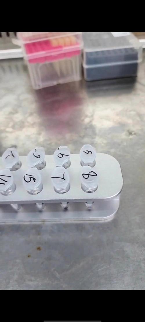 磁力架磁珠分离实验操作特写