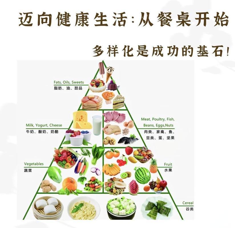 家庭餐桌代谢综合征健康饮食摆放图