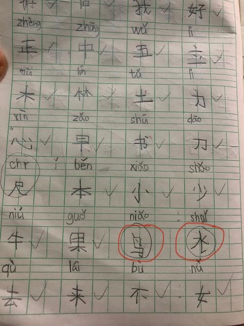 小学生作业本上跳行漏字的手写练习题