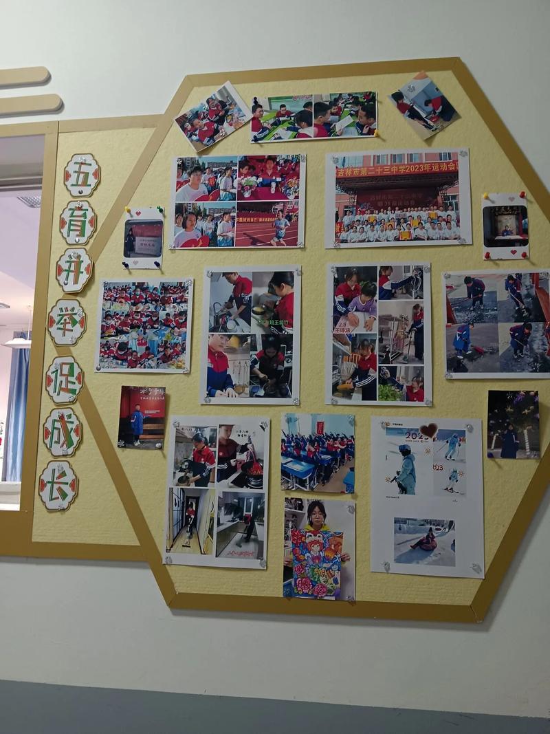 中学生综合实践活动成果展示墙