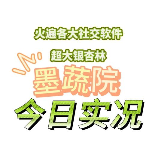 四、避坑指南:这些年我见过的陪读翻车现场