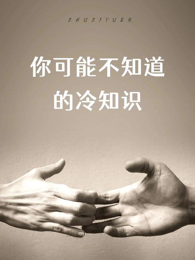 五、技术是冷的,洞察才是活的