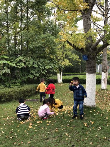 城市小区草坪亲子坐地捡落叶休闲场景图