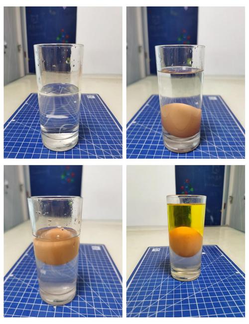 科学实验教案:水的浮力实验——让鸡蛋浮起来的秘密-大讲堂