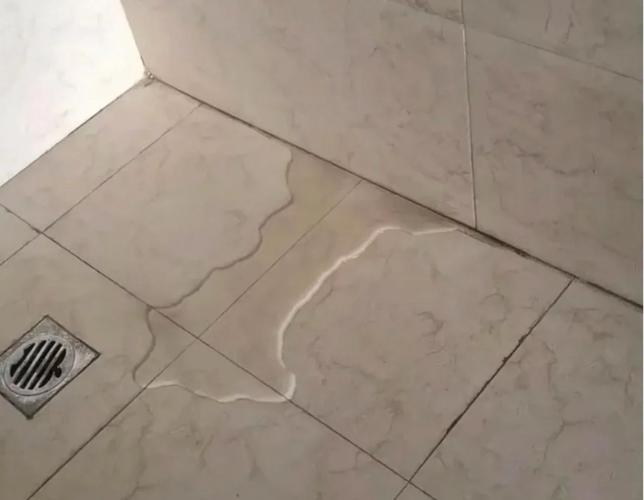 卫生间瓷砖空鼓导致墙角渗水实拍